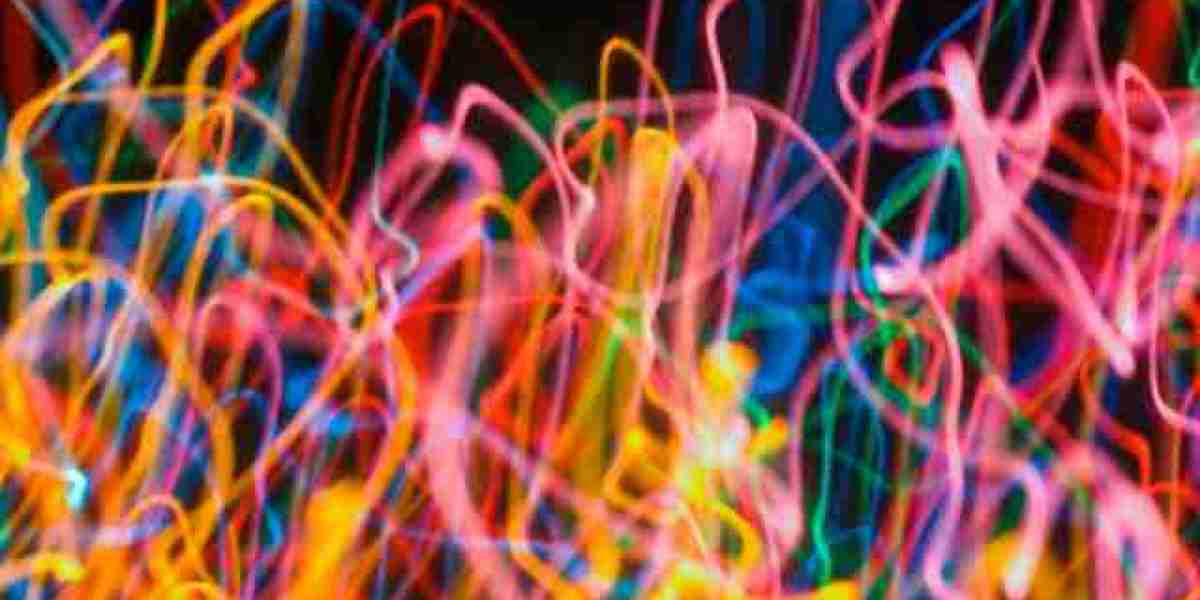 IGF-1 und der Insulinsignalweg: Säulen der metabolischen Regulation und Langlebigkeit