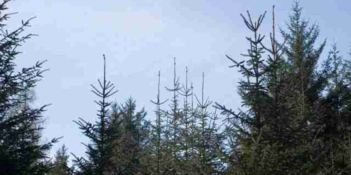 Chronische subdurale Hämatome