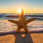 amlkug Profile Picture