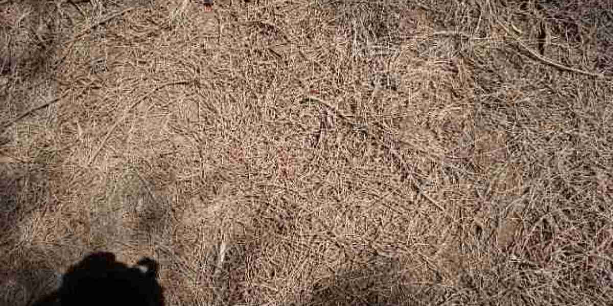 What's Ipamorelin? Benefits And Dangers