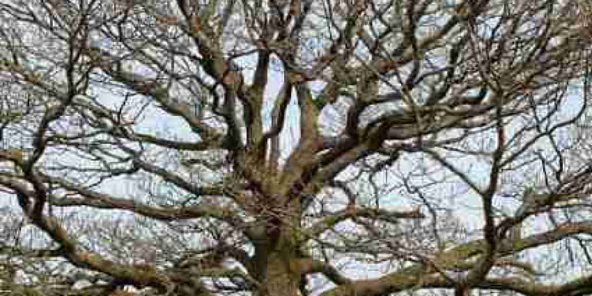 Titel: Wachstumshormon Norditropin