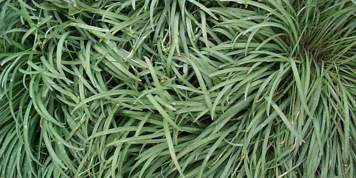 Anavar Before And After