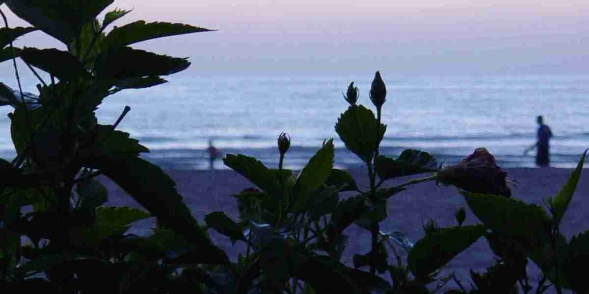 Wirkstoff Somatropin – Anwendungsgebiete und Wirkung