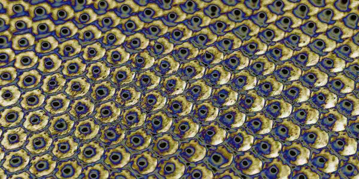 Doping: Wachstumshormone