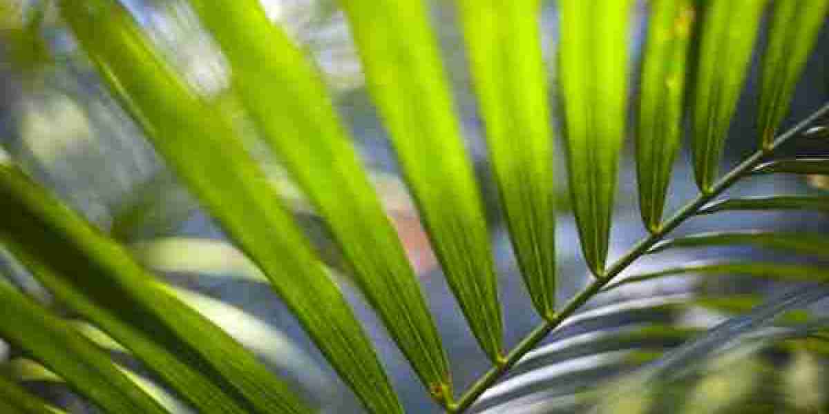 Somatropin Günstig Kaufen – Preise Vergleichen