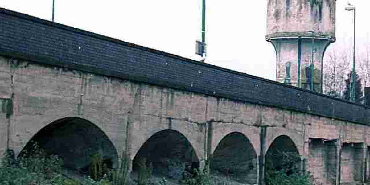 Wachstumshormone für den Muskelaufbau – Was Sie wissen sollten