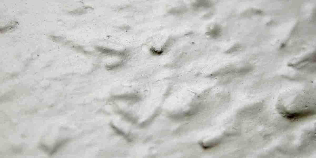 The Star ASX: SGR results: Casino in trading halt, board unsure of survival