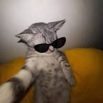 noor466 Profile Picture